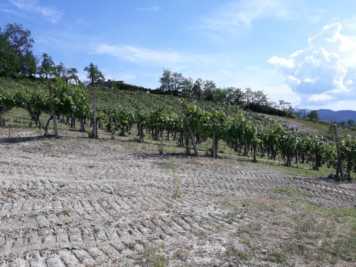 Agriturismo Il Biancospino Bed & Wine Apartamento Lerma Exterior foto